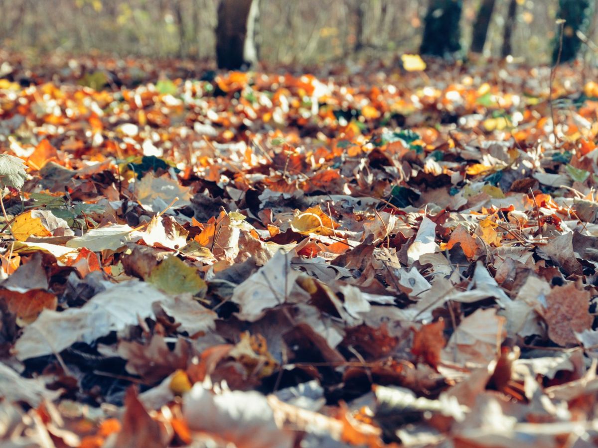 Labor Day Marks the Real Start of Commercial HVAC’s Fall Transition&nbsp;Season